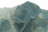 Cubic, Blue-Green Fluorite Crystal Cluster with Phantoms - China #217452-3